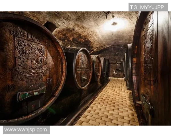 奥地利足球明星辛德勒的辉煌历程与成就分析